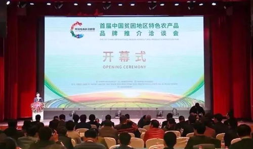 消費扶貧 漢中在行動——組織文化藝術交流活動助推脫貧攻堅